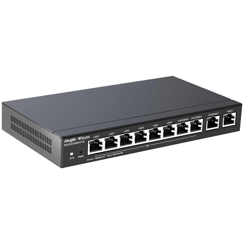 RG-EG310GH-P-E_0001