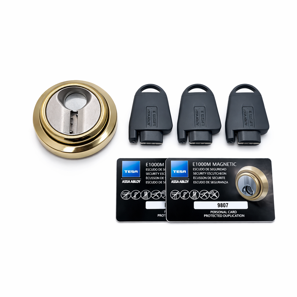 TESA-ESCUTCHEON-MAGNETIC-G_0001