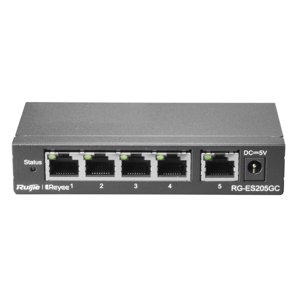 [TSN3SAN3VPHZ_RG-ES205GC] RG-ES205GC