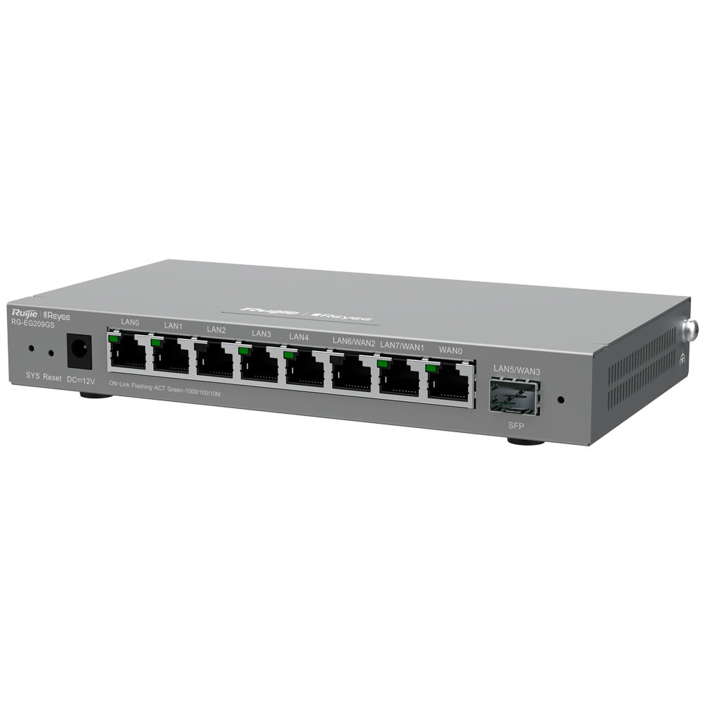 [TSN3SAN3KIFT_RG-EG209GS] RG-EG209GS